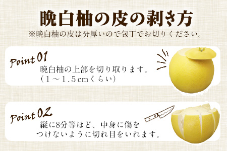 森田果樹園の晩白柚 2玉 森田果樹園《12月中旬-2月末頃出荷》果物 フルーツ サボン 熊本