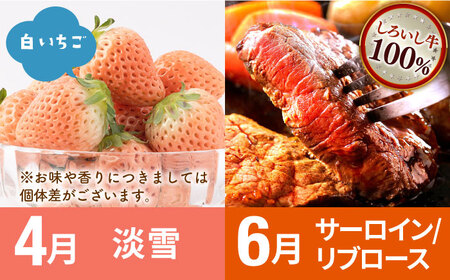 【先行予約 2027年2月～発送】【6回定期便】いちごと牛肉の贅沢定期便 / いちご 牛肉  [IZZ009]