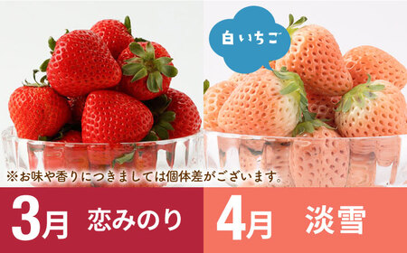 【先行予約 2027年1月～発送】【7回定期便】いちごと牛肉の極上定期便 / いちご 牛肉 [IZZ014]