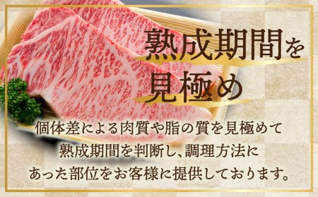 飛騨牛ロース焼肉 焼き肉 450g BBQ 国産牛 国産 牛肉 肉 厳選 熟成 贈答用 焼肉 飛騨牛 飛騨市 ［CT039］