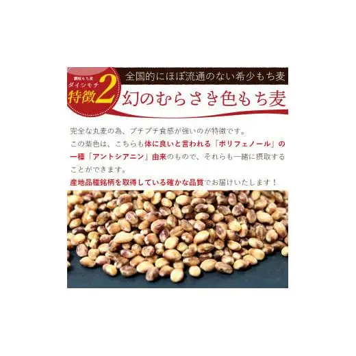 【生産者応援企画！】 讃岐もち麦「ダイシモチ」8kg（1ｋｇ×８袋） 保存に便利なジップ付き_Z2600019