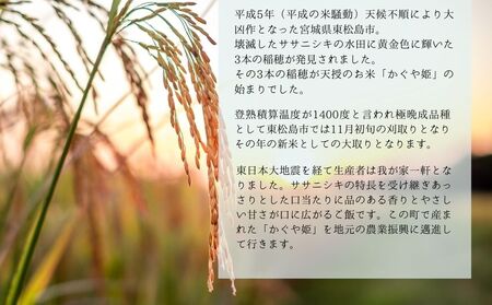 【令和7年産】 新米 宮城県産 超稀少品種 かぐや姫 精米 5kg 宮城県 東松島市 天授のお米 米 白米 こめ 宮城県 東松島市 オンラインワンストップ 対応 自治体マイページ