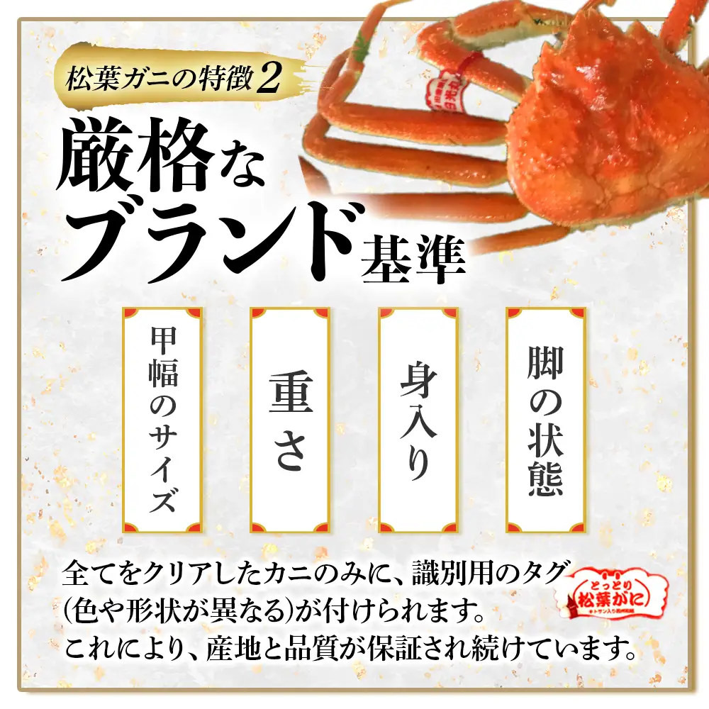 【先行予約】【魚倉】足１本なし 生 松葉ガニ （大800g） 訳あり 松葉ガニ