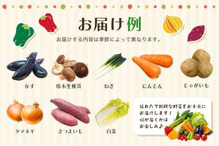 野菜 奥久慈産 旬の野菜詰め合わせ 季節 セット 【野菜】【ho0871】