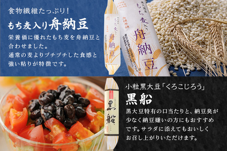 納豆 舟納豆 厳選小粒セット 10個 食べ比べ 【納豆】【ho1229】