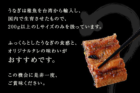 ＜ 鰻 ＞ うなぎの蒲焼 1尾（200g以上）オリジナル特製タレで味付け 冷凍【鰻 うなぎ ウナギ 土用 うしの日 蒲焼 かば焼き 】