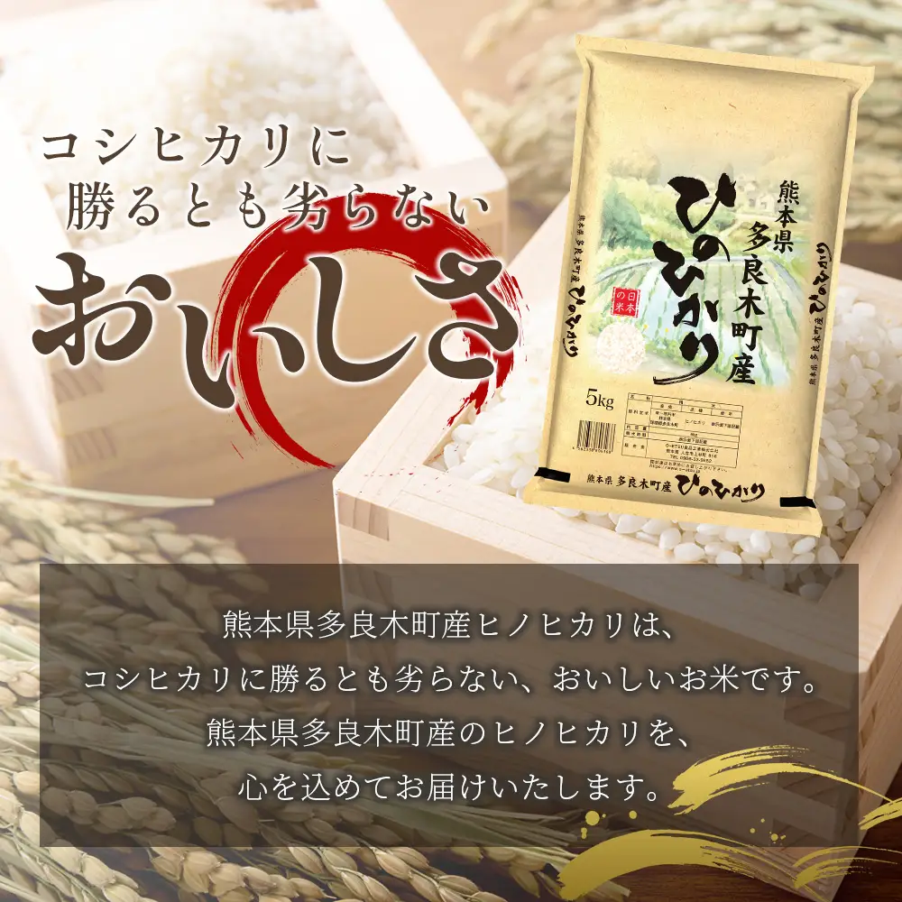 【お米】 令和7年産 多良木町産 ヒノヒカリ 5kg  【 熊本県 ひのひかり お米 新米 ごはん 白ごはん 美味しい米 白米 米 精米 ご飯 黄金晴 熊本県産 送料無料】 053-0508