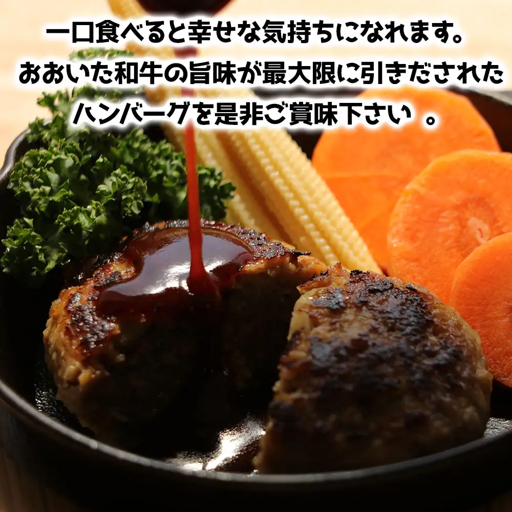 おおいた和牛ハンバーグ 130g×8個 | 牛肉 豊後牛 ハンバーグ おかず 惣菜 冷凍 大分県産 九州産 国産 豊国畜産ぶんごや 冷凍 送料無料 大分県 中津市