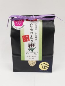 さくら市産お米食べ比べ＆もち麦セット≪2021年産 贈り物 プレゼント ギフト≫◇