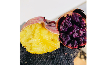 まるごとやきいもアイス 食べ比べセット お菓子 野菜 サツマイモ さつまいも HNNL004