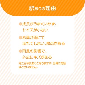 S086-007A_訳あり 不知火 約 9kg 数量限定〈先行予約〉
