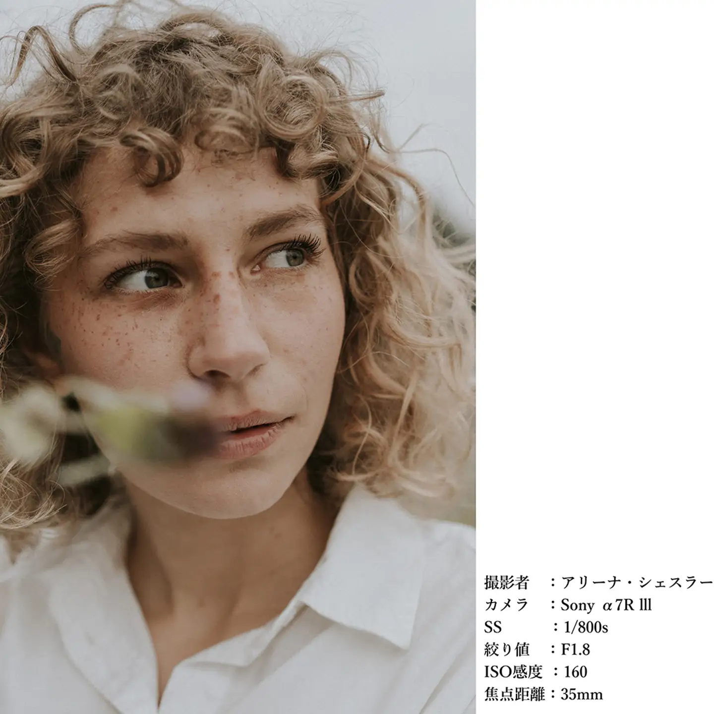 SIGMA 35mm F1.4 DG DN | Art【Lマウント】