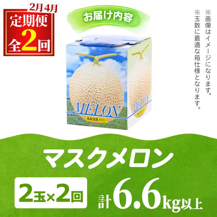 【0472212b】＜定期便・全2回(2月・4月)＞まるまる育ったマスクメロン(2玉×2回・計6.6kg以上) マスクメロン フルーツ 果物 果実 6キロ 数量限定 期間限定【まる美園芸組合】