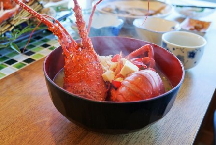 ＼たっぷり10尾／ 活き伊勢えび 2kg以上 とれたて新鮮 南紀黒潮イセエビ 大容量 【12月～1月に順次発送】 / 伊勢えび 伊勢海老 イセエビ【mws003】