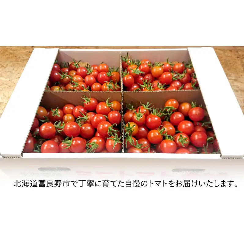 【2026年7月より発送】北海道 富良野市産 完熟ミニトマト（キャロル10）約2kg トマト 甘い 野菜 新鮮 数量限定 先着順【藏ファーム】