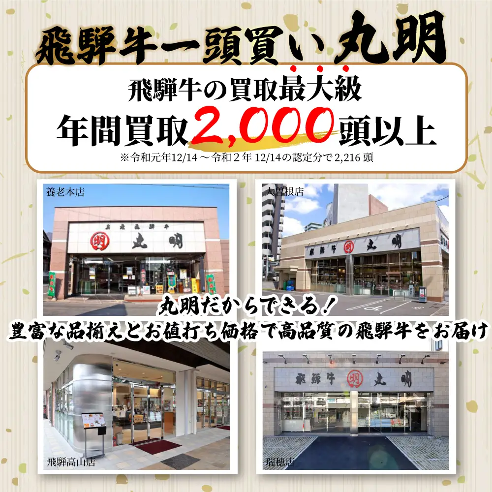 牛肉 A5 飛騨牛 ブロック ２種食べ比べ 1kg（サーロイン500g もも500g） 牛肉 LR001