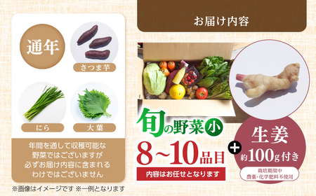 土佐の太陽をいっぱいに浴びた旬の野菜生姜約100gのセット「小」【土佐野菜】 [ATBA003]スピード 最短 最速 発送 春 春野菜 旬野菜 野菜詰め合わせ