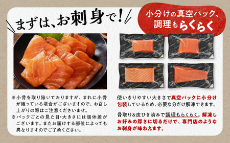 エンペラーサーモン 900g_T015-0910