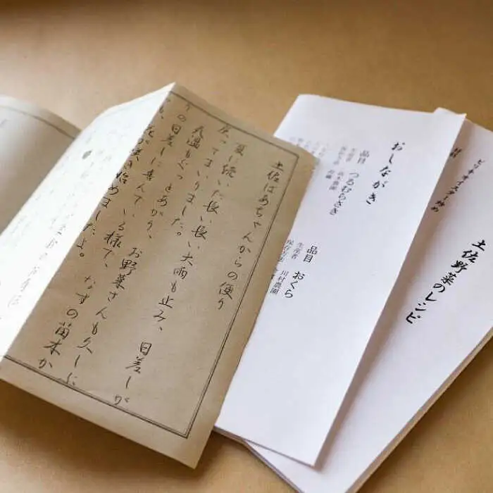 【12回定期便】土佐の太陽をいっぱいに浴びた旬の野菜セット「大」 (12回配送)【土佐野菜】 [ATBA010]