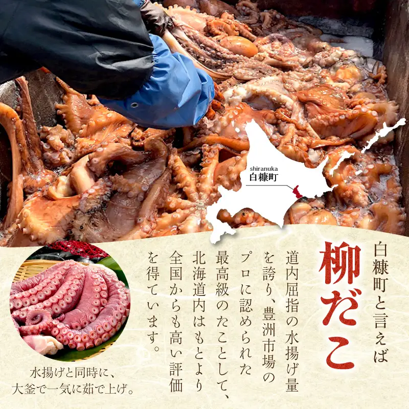 しらぬか産柳だこ(600g)と珍味(まんまの三杯酢・まんまの塩辛)の計3種セット_I021-0469