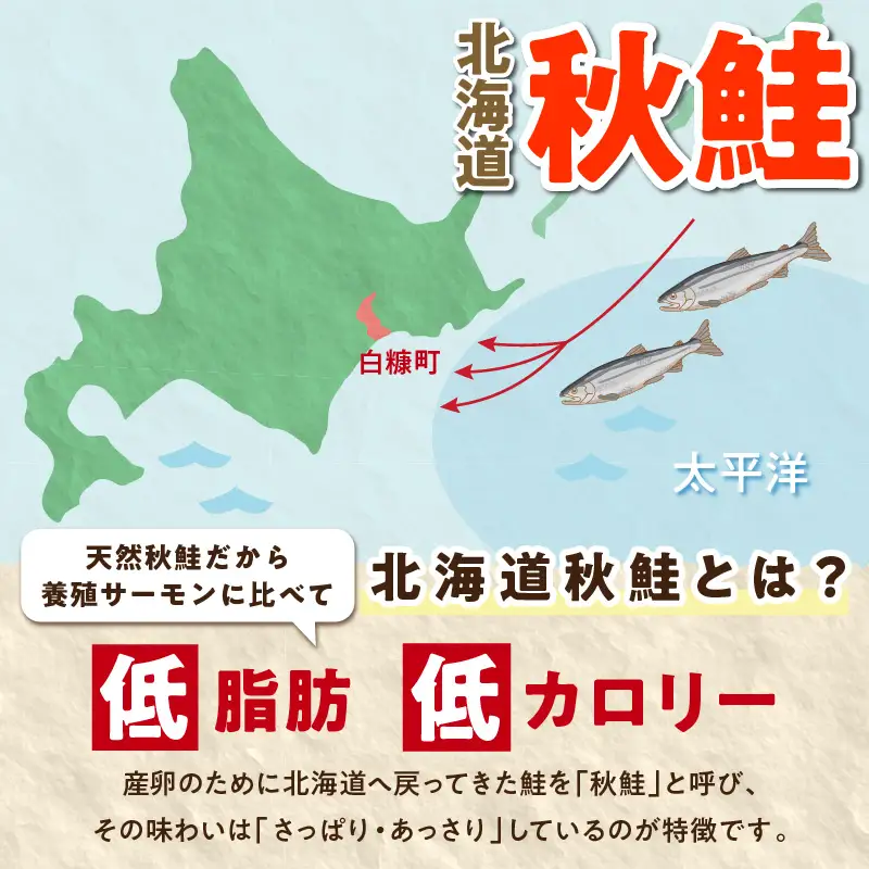 北海道産 天然 秋鮭 15切身 900g 鮭_T011-0789