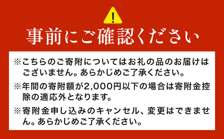 菊池市への寄附(返礼品はありません) 熊本県 菊池市 返礼品なし 1,000円