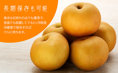 南水 4kg 10～12玉 贈答用 南水