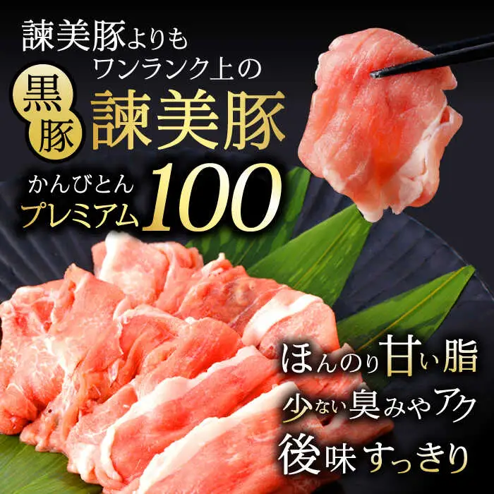 黒豚諫美豚プレミアム100 5種詰め合わせ 1.2kg / 豚肉 ぶたにく ロースステーキ しゃぶしゃぶ 切り落とし ミンチ / 諫早市 / 株式会社土井農場 [AHAD047]