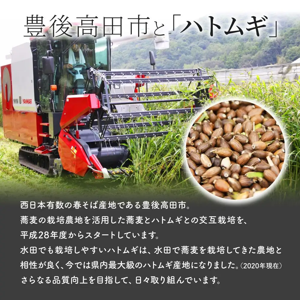 精白ハトムギ300g×5袋(ひきわりタイプ) | 豊後高田市 ハトムギ
