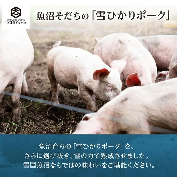 豚 肩ロース 130g 4枚 計520g 雪ひかりポーク 肉 豚肉 国産 発酵 熟成 新潟県 南魚沼市 冷凍 YUKIMURO WAGYU UCHIYAMA 内山肉店｜チルド