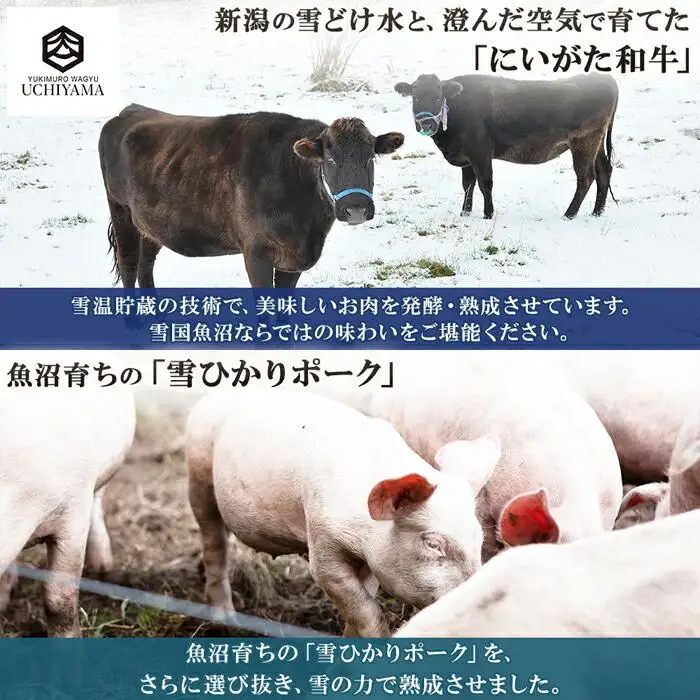 ハンバーグ 150g 4個 計600g にいがた和牛 黒毛和牛 雪ひかりポーク 合挽 国産 牛肉 豚肉 新潟県 南魚沼市 冷凍 YUKIMURO WAGYU UCHIYAMA 内山肉店｜チルド