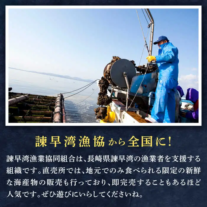 【長崎県小長井町産】「小長井牡蠣」食べ比べセット4袋+1袋(えび) / かき カキ 牡蠣 海鮮 / 諫早湾漁業協同組合 [AHBJ004]