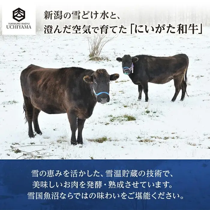 ビーフシチュー 200g 2個 計400g にいがた和牛 黒毛和牛 国産 肉 牛肉 新潟県 南魚沼市 冷凍 YUKIMURO WAGYU UCHIYAMA 内山肉店｜チルド