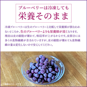 【ご家庭用】冷凍ブルーベリー2.5kg（大分県産）_1894R