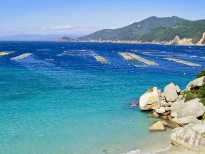 宿毛リゾート椰子湯 ペア宿泊券（素泊り） 宿泊券