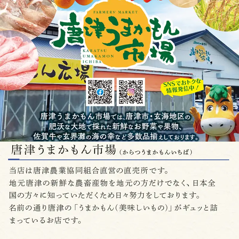 唐津産特別栽培米 コシヒカリ(白米) 4.5kg