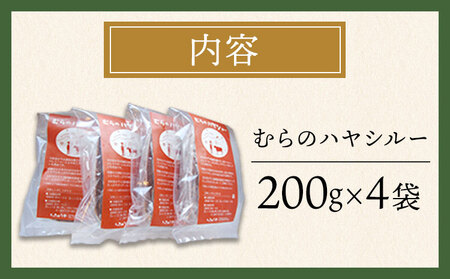 ちきゅうや「むらのハヤシルー」 200g×4食 セット 計800g 《30日以内に出荷予定(土日祝除く)》 熊本県 南阿蘇村 送料無料 ハヤシルー st-p