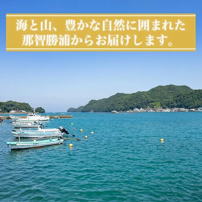 【ふるなびWEEK対象】国産真イワシ使用 骨までやわらかい　いわし甘露煮（90ｇ×10パックセット）