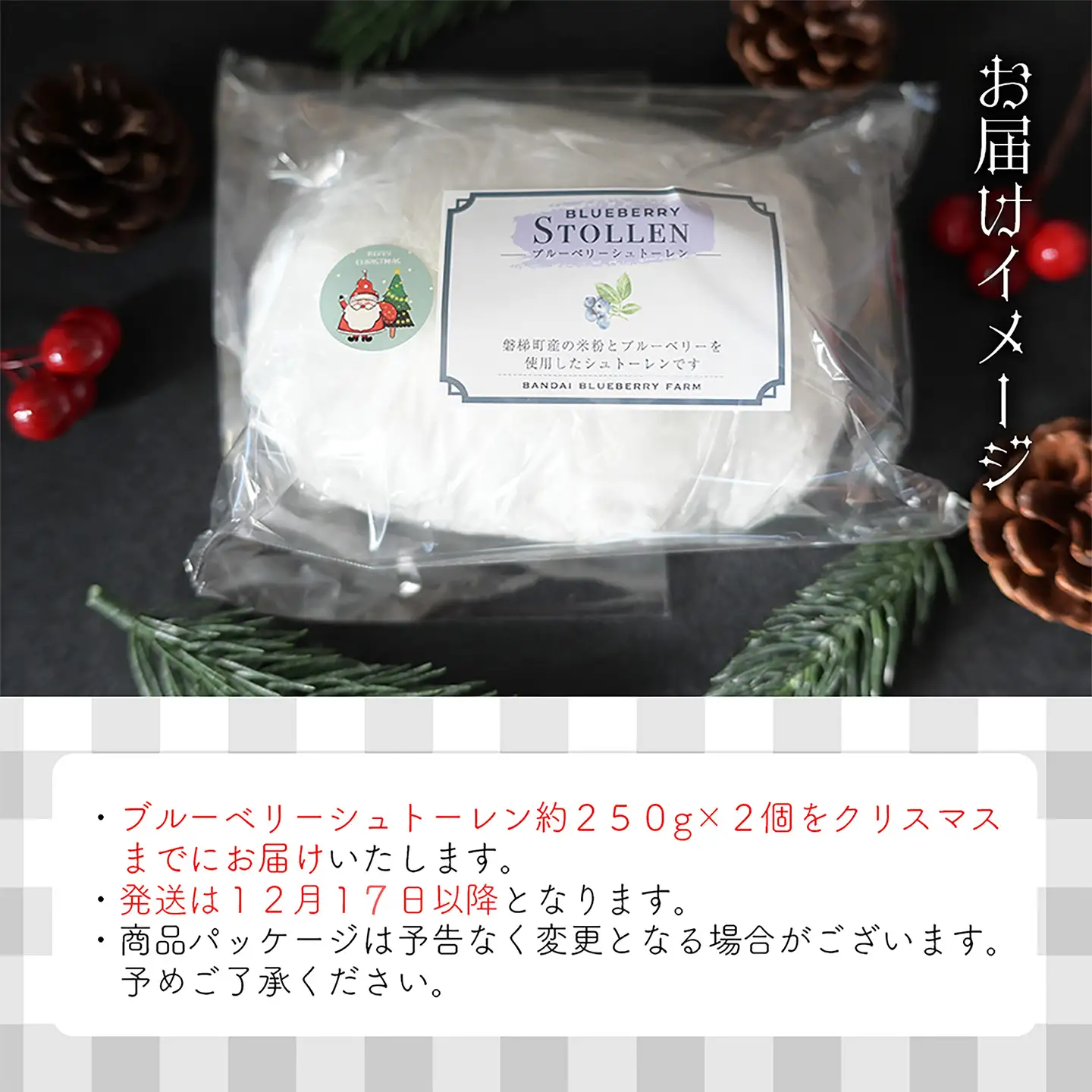 【クリスマスまでに発送】【先行予約】ブルーベリー シュトーレン （小） 250g前後×2個 ※令和8年12月17日より発送