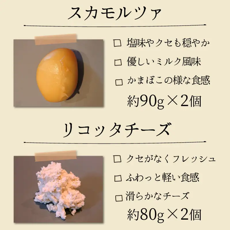 福井県産生乳使用 モッツァレッラチーズセット チーズ [A-020001] [BFAT001] 【配送不可地域：北海道・沖縄・離島】 