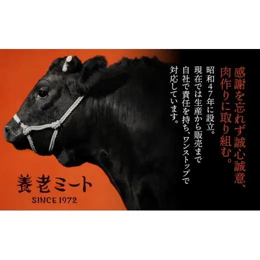 【飛騨牛】 ロースまたは肩ロース720g (すき焼き・しゃぶしゃぶ用) 2025/9/19～