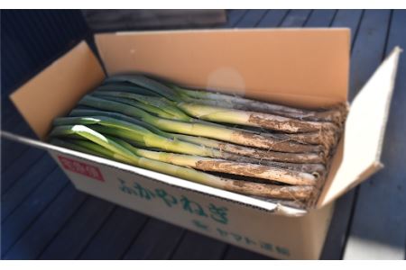 ＜先行予約＞深谷新戒産　深谷ねぎ　5kg　【11218-0381】