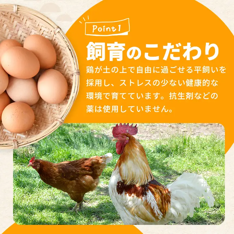 黄身がプリッ!沖縄の大自然が育んだ平飼い卵【ゆかりたまご】 40個 たまご （20個 ×2箱 ）破卵保証の5個を含む MSサイズ 平飼い 卵 タマゴ 産地直送 生卵 鶏卵 濃厚 玉子 卵料理 卵かけごはん TKG エッグ egg 沖縄産 お取り寄せ 沖縄県 糸満市