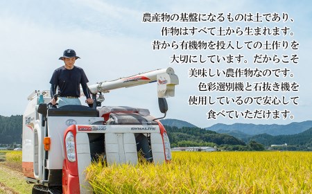 【令和8年産】 ミルキークイーン 玄米 10kg (5kg×2袋) 山形県庄内産 小池半左衛門