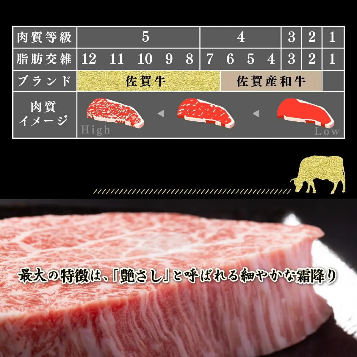 200g×10枚 佐賀牛｢ヒレステーキ｣ H-330
