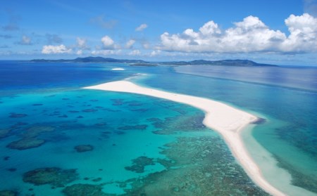 【南西興産】久米島の生産者から直送！活〆冷凍有頭車海老2kg：500g(20-25尾 4～5人前)×4パック