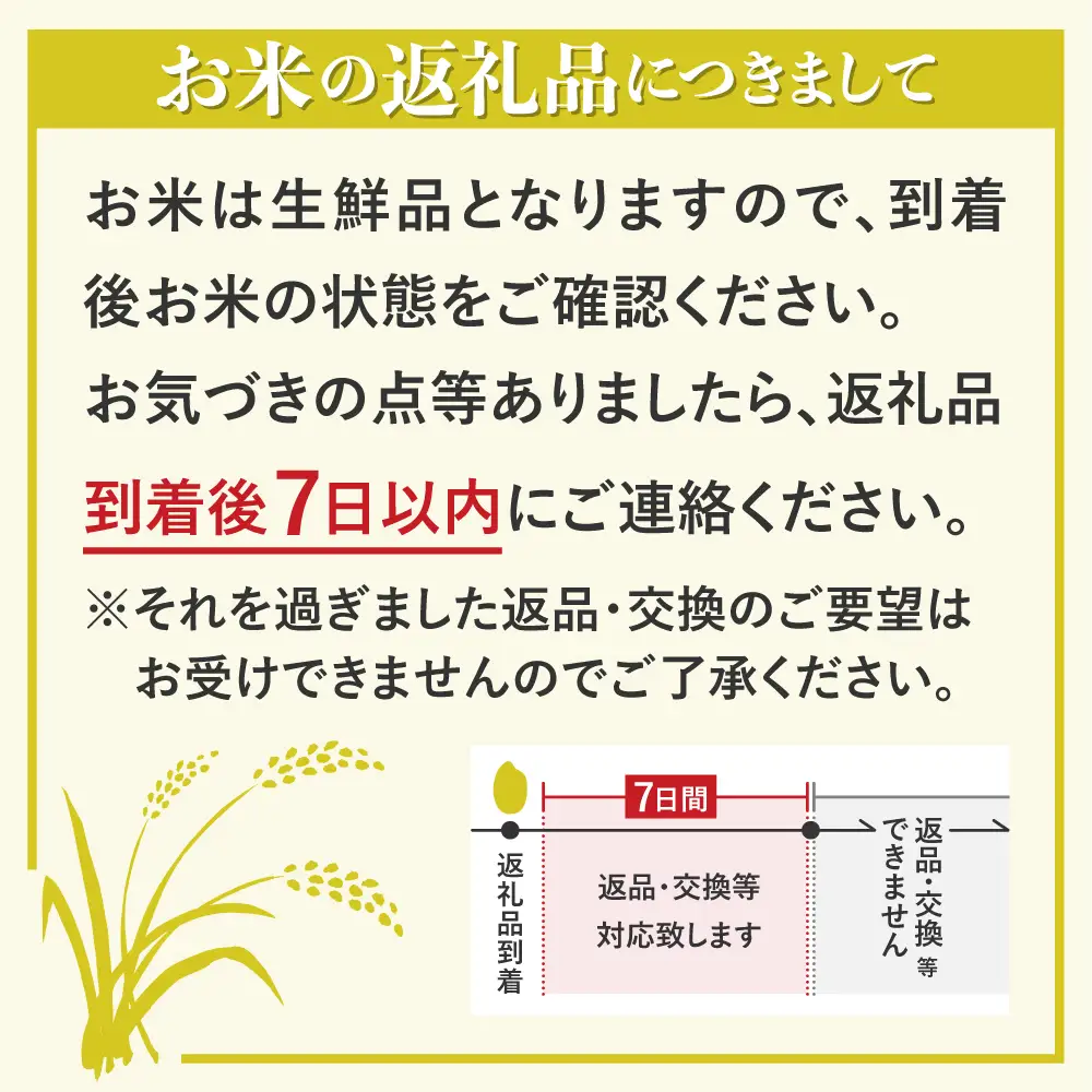新米《先行予約》令和8年産 黄金の煌き コシヒカリ 5kg 新米 精白米 飛騨 米 お米 ご飯 ごはん こめ 和仁農園 白米 金賞 受賞 5キロ 小分け 飛騨市 どやな飛騨市