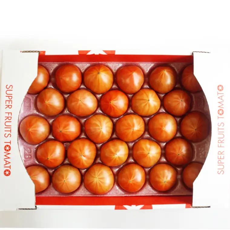 《 2027年 収穫分 》2～6月配送 スーパーフルーツトマト 大箱 約2.6kg × 3箱 (20～35玉/1箱) 糖度9度以上 先行予約 茨城県 桜川市 KEK 国産 トマト フルーツトマト ブランドトマト 野菜 ギフト 贈答 青空レストラン アド街ック天国 グッドモーニング 黄金のワンスプーン 昼めし旅 [BC010sa]
