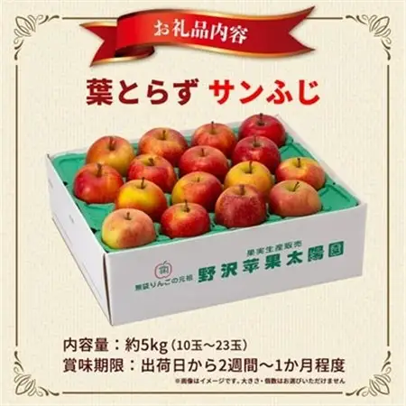 青森市産りんご「葉取らずサンふじ」約5kg(家庭用)_果物・フルーツ りんご  リンゴ 林檎_【配送不可地域：離島・沖縄県】【1272641】