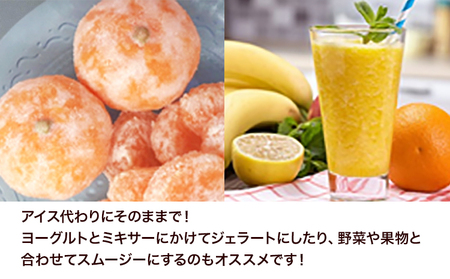 冷凍みかん ご家庭用 サンファームみかん